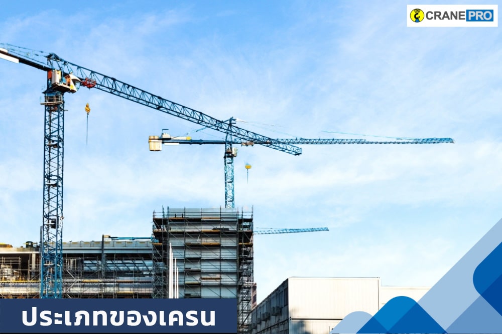 cp_ประเภทของเครน